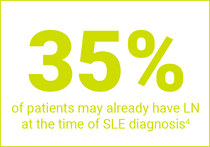 35% of Patients May Already Have LN at the Time of SLE Diagnosis